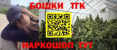 бошки Гатчина