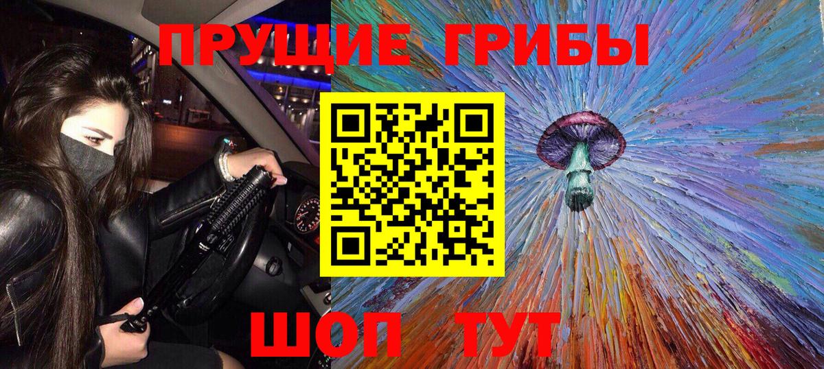 Галлюциногенные грибы Psilocybe Нурлат